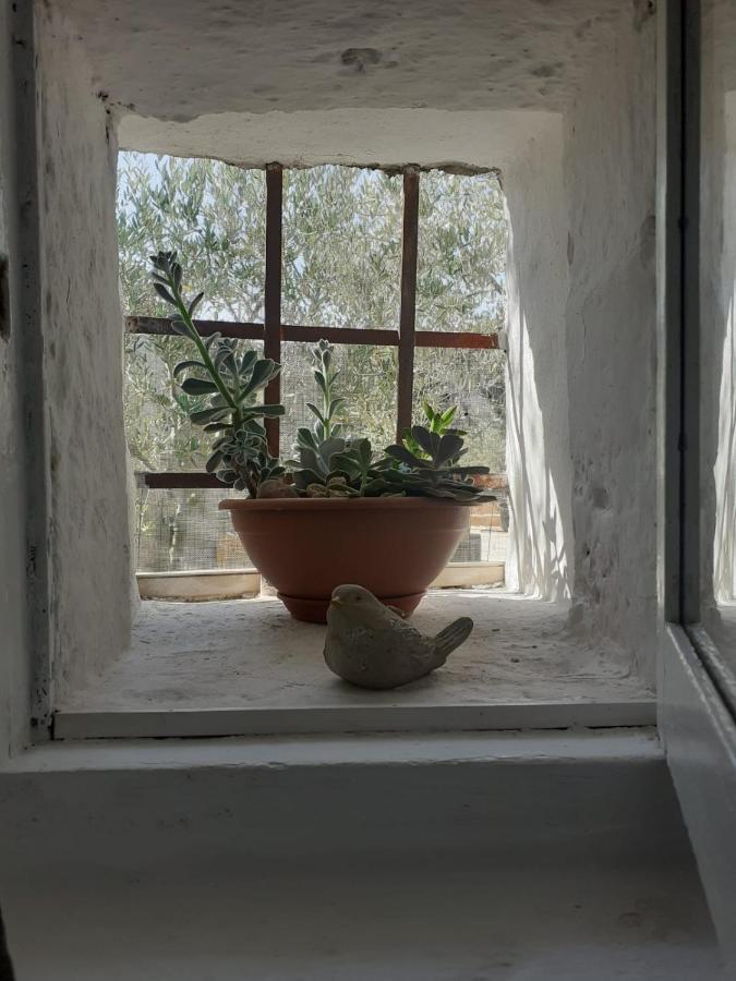 La Mia Dimora Villa Cocolicchio Buitenkant foto